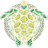 Turtle turtles
