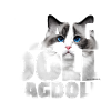 Ragdoll III