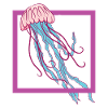Jellyfish - Water - Sea - Coloured