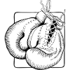 Boxing Gloves