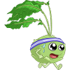 Fitness Kohlrabi