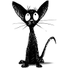 Kleine schwarze Katze