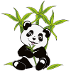 Panda Bear