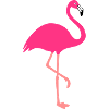 Flamingo - animal design