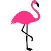 Flamingo summer sun beach