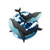 Baleines