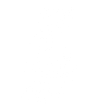 Pretty owl