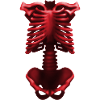skeleton blood red