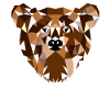 Ours grizzly ours idée cadeau