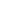 Cook