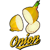 oignon