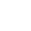Turtle - Turtle Lover - Yin Yang