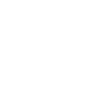 Turtle - Turtle Lover - Conservation