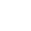 Rose tulipe fleur geometire