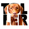 Toller NASSU III