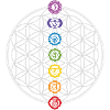 Fleur de Vie & Chakras