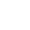 Homo economicus