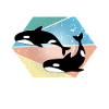 whale