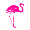 Flamingo Pink Geschenk Geschenkidee
