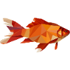 Goldfish vector