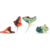 Champignons