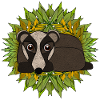 Badger in his den