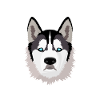 Husky mom