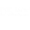 Dogs Dog