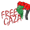 Free Gaza Free Palestine Save Freedom Palestine