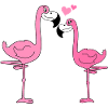 Flamingo Love