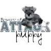 Schnauzer Attack