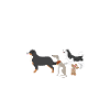 Who let the dogs out?