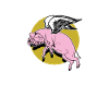 Flying Pig