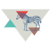 Zebra triangle design