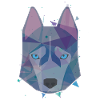 Wolf animal