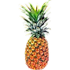 Pineapple princess