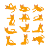 Cats doing Yoga