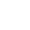 Sun Lion Doodle Style