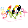 Summer Dance - Aloha Summer Contest
