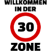 Welcome to the 30's Zone Birthday