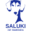 Saluki of Sweden