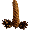 robinet