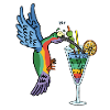 Oiseau-mouche et cocktail