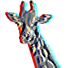 Giraffe with 3D effect