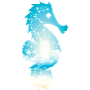 SeePferdchen (Sky-Edition)