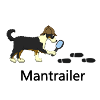 Mantrailing Gingi