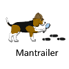 Mantrailing Beagle