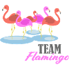 Flamingo Team Group Swarm