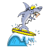 Surfer shark