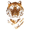 Tiger face